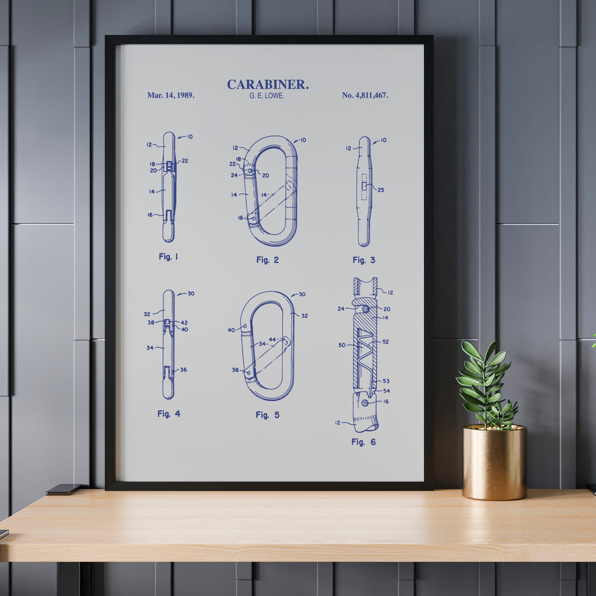 Framed blueprint of a carabiner on a wooden shelf with a plant.