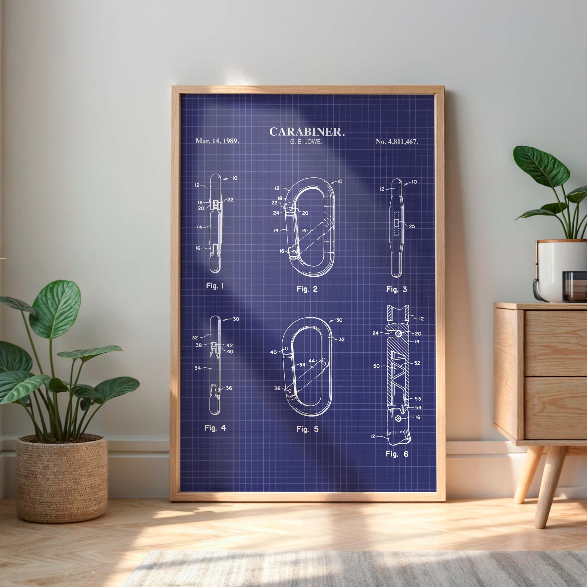 Framed blueprint of a carabiner on a wall in a room with plants and a cabinet.